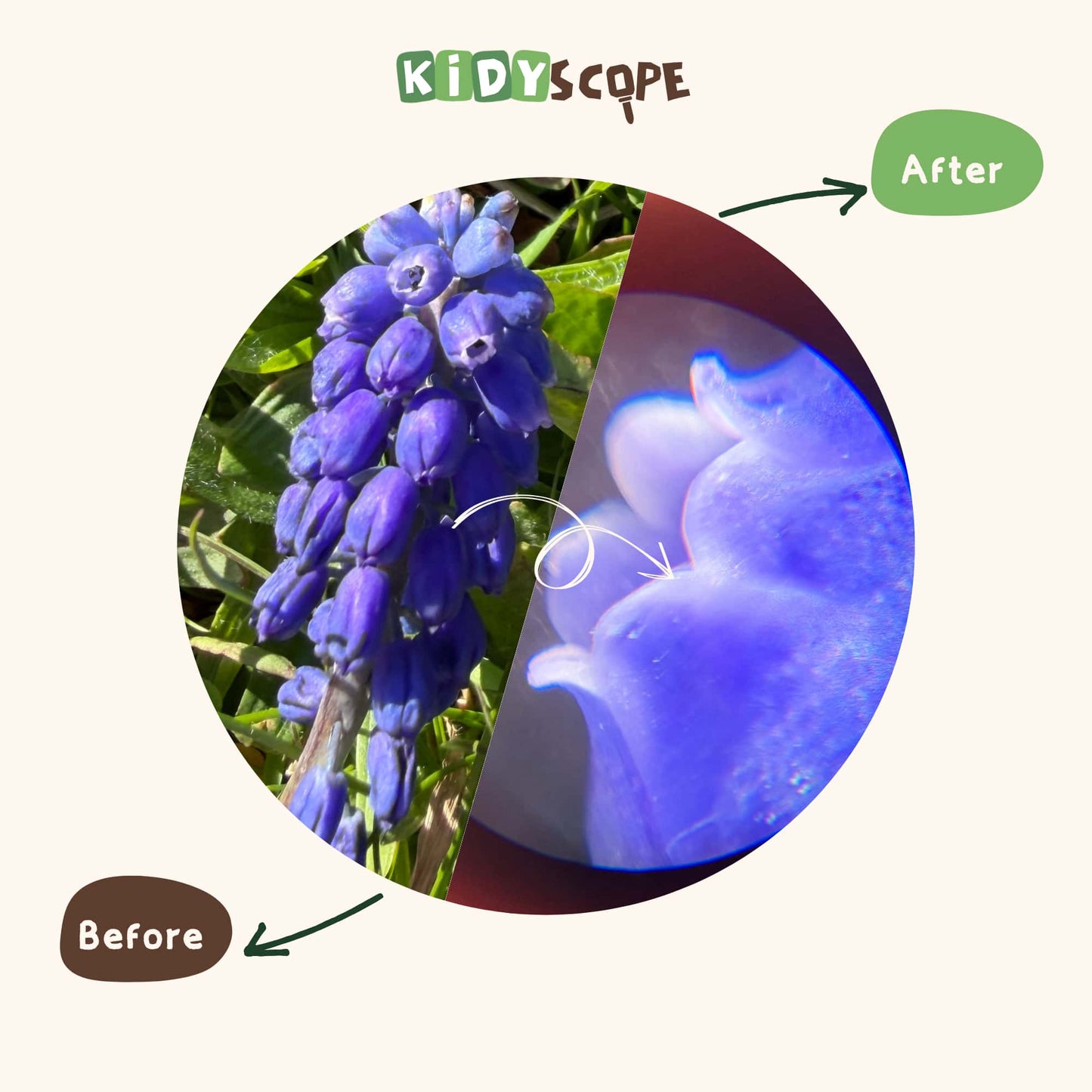 The Kidyscope｜Mini Pocket Microscope